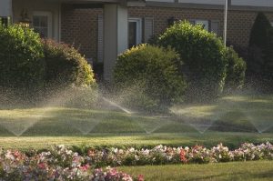 Irrigation
